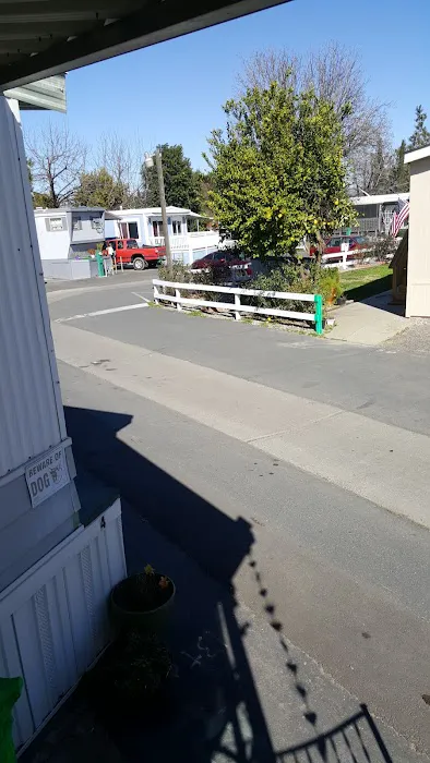 Thunderbird Trailer Park Picture 7