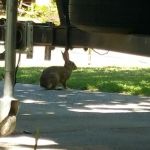 Casa Mia Mobile Home and RV Park