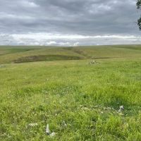 Willows Mobile Home Park ico