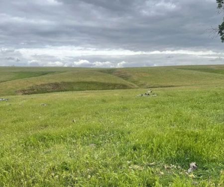 Willows Mobile Home Park