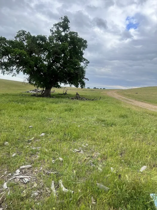 Willows Mobile Home Park Picture 2