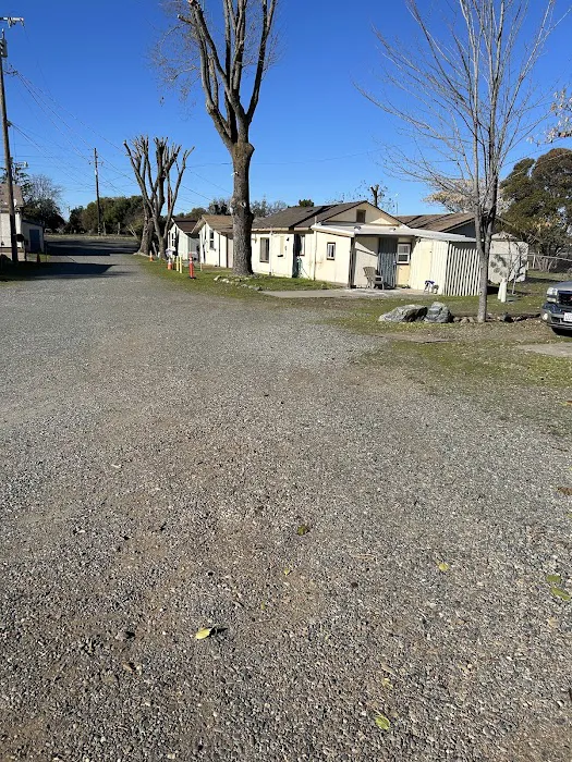 Falling Rock RV Park Picture 2