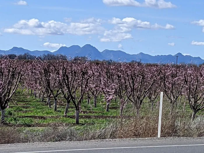 Falling Rock RV Park Picture 7