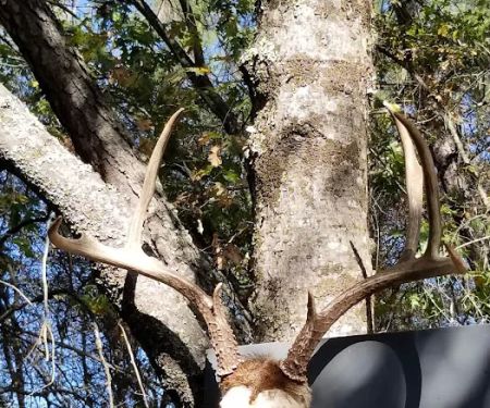 LAKE COMBIE MOBILE HOME VLLGE and RV STORAGE