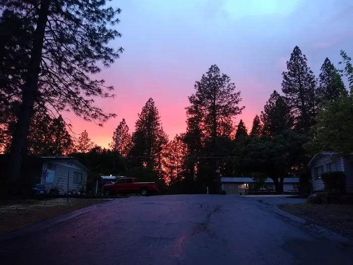 Skyview Terrace Mobile Home Picture 4