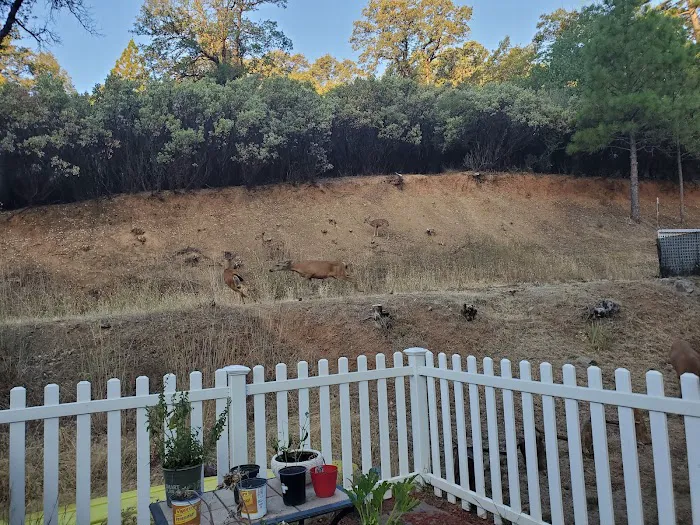 Skyview Terrace Mobile Home Picture 7