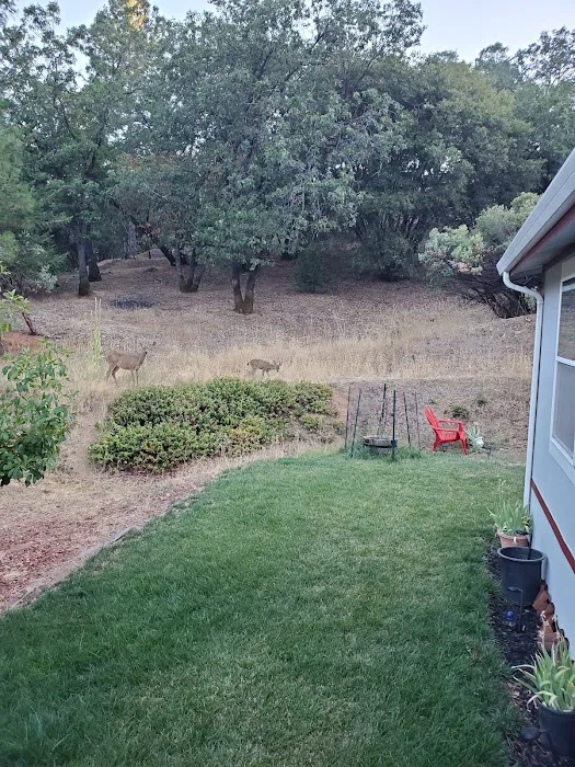 Skyview Terrace Mobile Home Picture 10