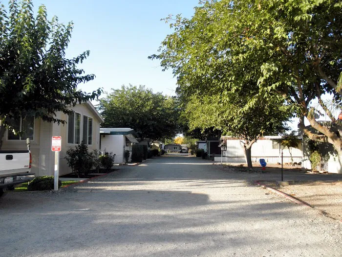 Black Butte Mobile Home Park Picture 3