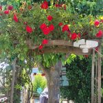 Country Leisure Mobile Estates