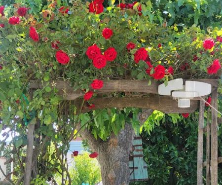 Country Leisure Mobile Estates