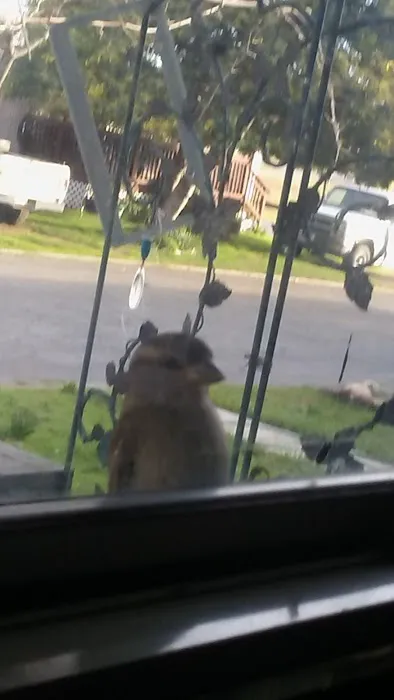 Sierra Trails Mobile Home Park Picture 1