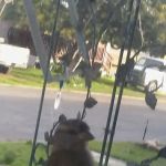 Sierra Trails Mobile Home Park