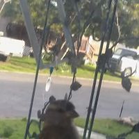 Sierra Trails Mobile Home Park ico