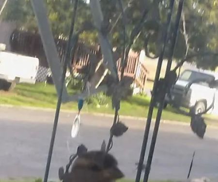 Sierra Trails Mobile Home Park