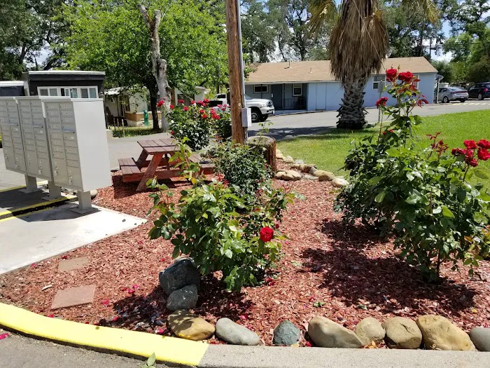 Sundown Estates (New Homes & RV Spaces Available) Picture 4
