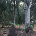 Chateau Mobile Home Estates