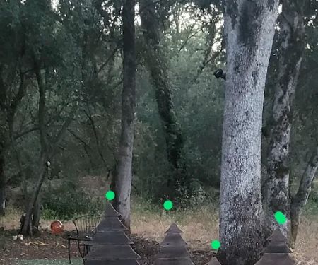 Chateau Mobile Home Estates