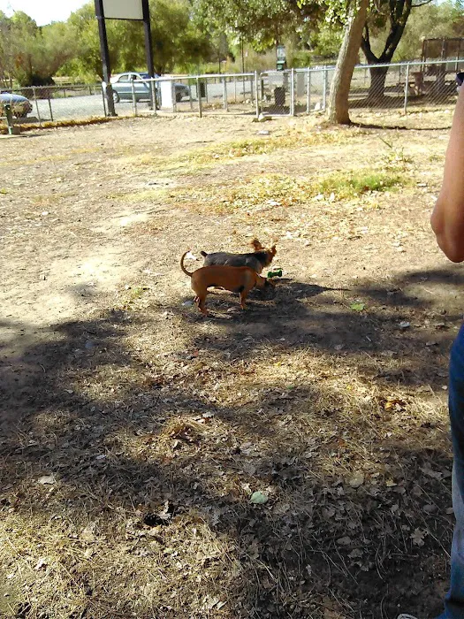 Golden Feather Mobile Home Park Picture 2