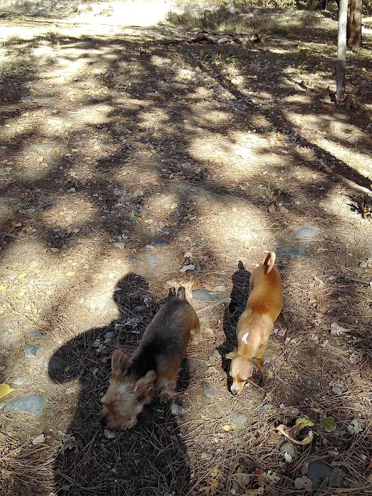 Golden Feather Mobile Home Park Picture 10