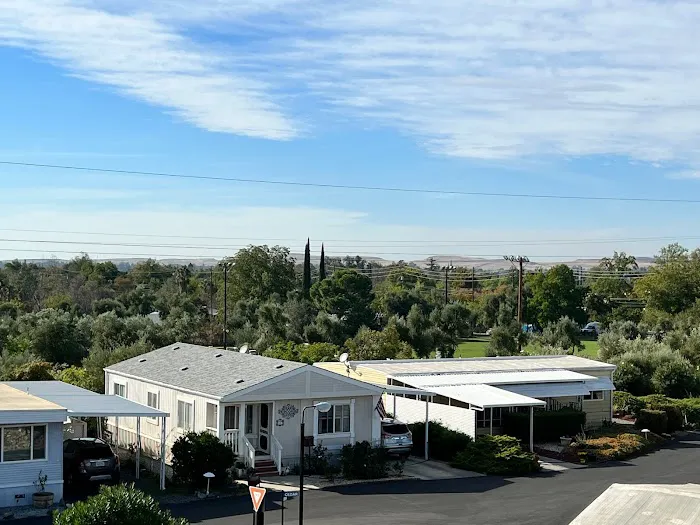 Olive Hill 55+ Manufactured Home Community Picture 10