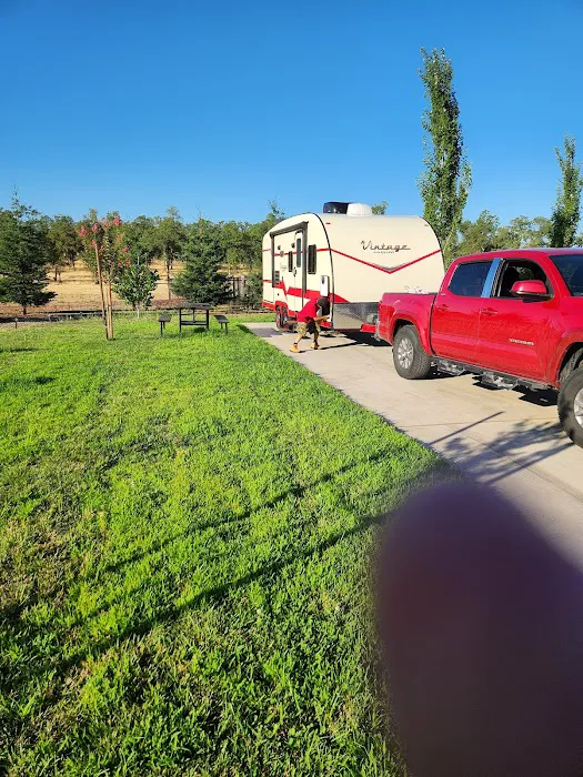 Berry Creek Rancheria RV Park Picture 8