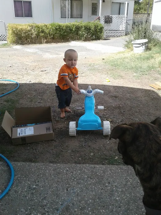 Orolake Mobile Home Park Picture 5