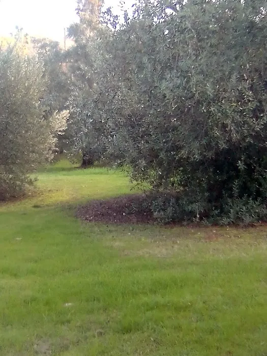 Orolake Mobile Home Park Picture 4