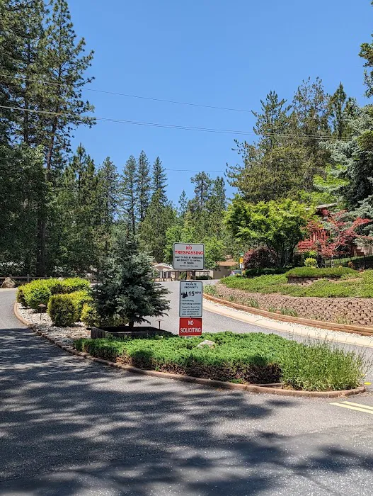 Ponderosa Pines Mobile Home Picture 2