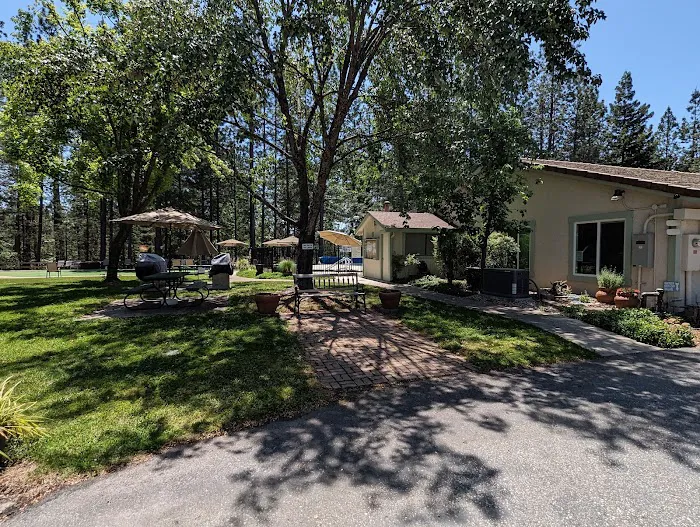 Ponderosa Pines Mobile Home Picture 7