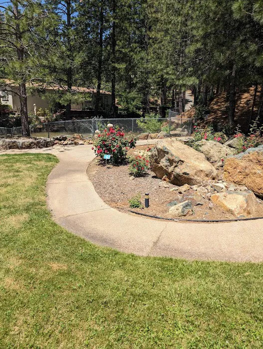 Ponderosa Pines Mobile Home Picture 10