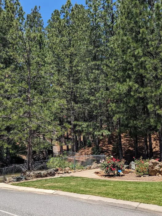 Ponderosa Pines Mobile Home Picture 8