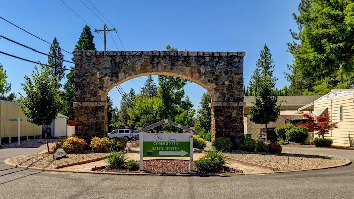 Forest Springs Picture 2