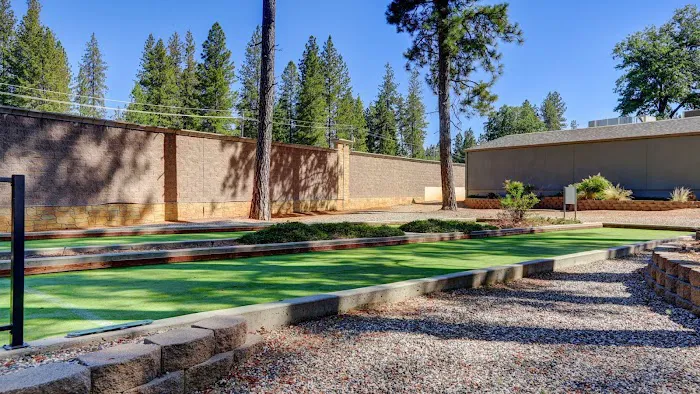 Forest Springs Picture 3