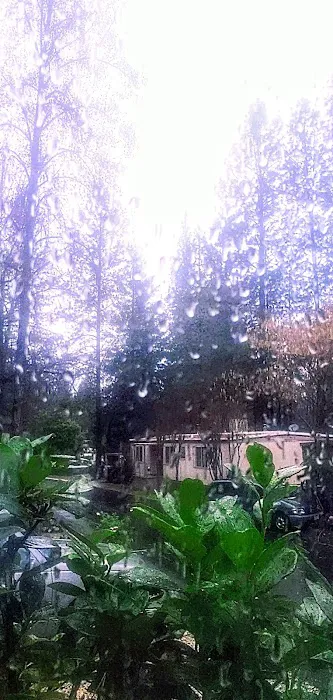 Mountain Air Mobile Park & RV Picture 5