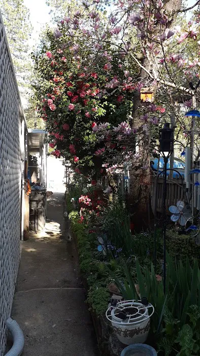 Mountain Air Mobile Park & RV Picture 2