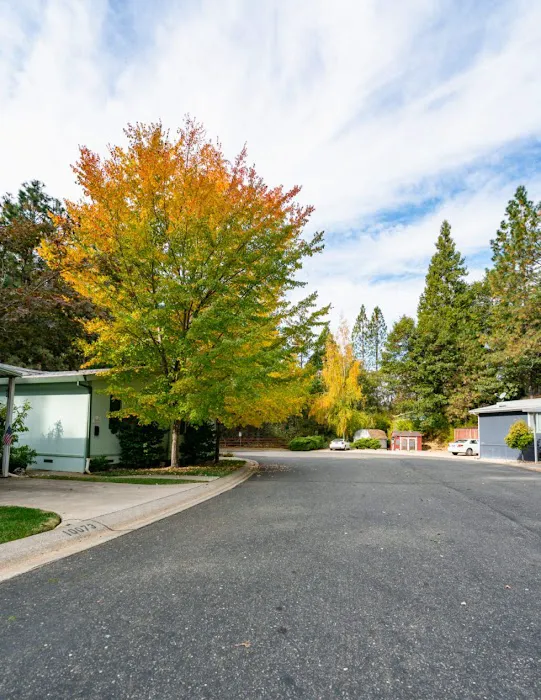 Tall Pines Mobile Estates Picture 2