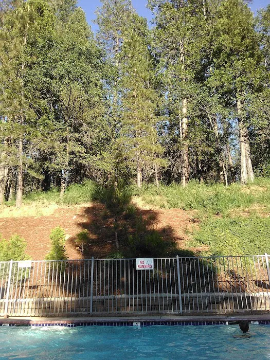 Tall Pines Mobile Estates Picture 6
