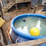 Buckeye Mobile Home Park