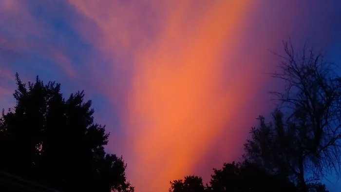 Rancho Chico MHP Picture 6