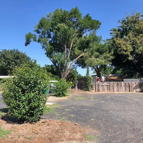 Mountain View Mobile Home Community Picture 2