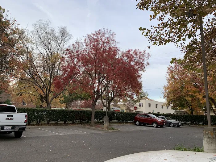 Almond Tree RV Park Picture 10