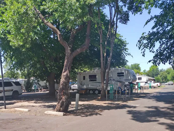 Chico Trailer Haven Picture 8