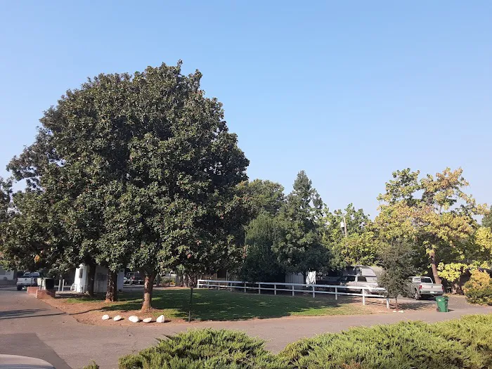 Chico Mobile Home Park Picture 10