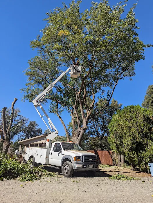 Lassen Mobile Home Park Picture 7