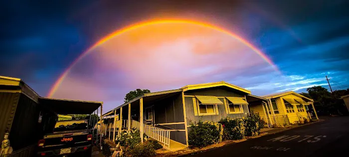 Casa De Flores Mobile Home Community Picture 3
