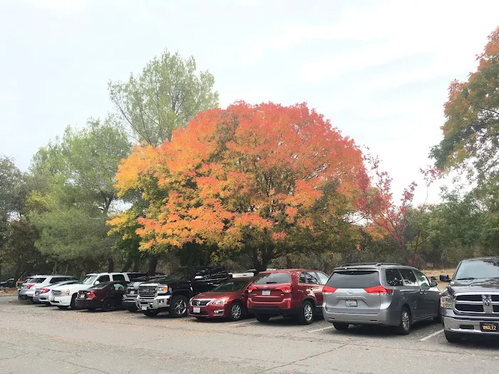 Sierra Pines Mobile Park Picture 3