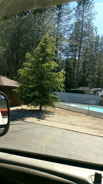 Sierra Pines Mobile Park Picture 8