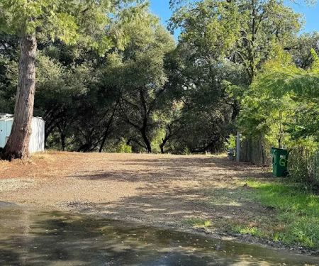 Rough and Ready Village