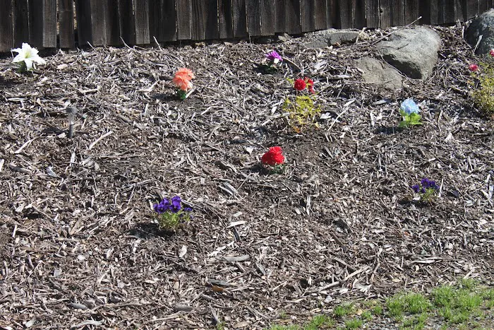 Blackberry Meadows Mobile Home Park Picture 6