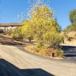 EDCF Event Center RV Park